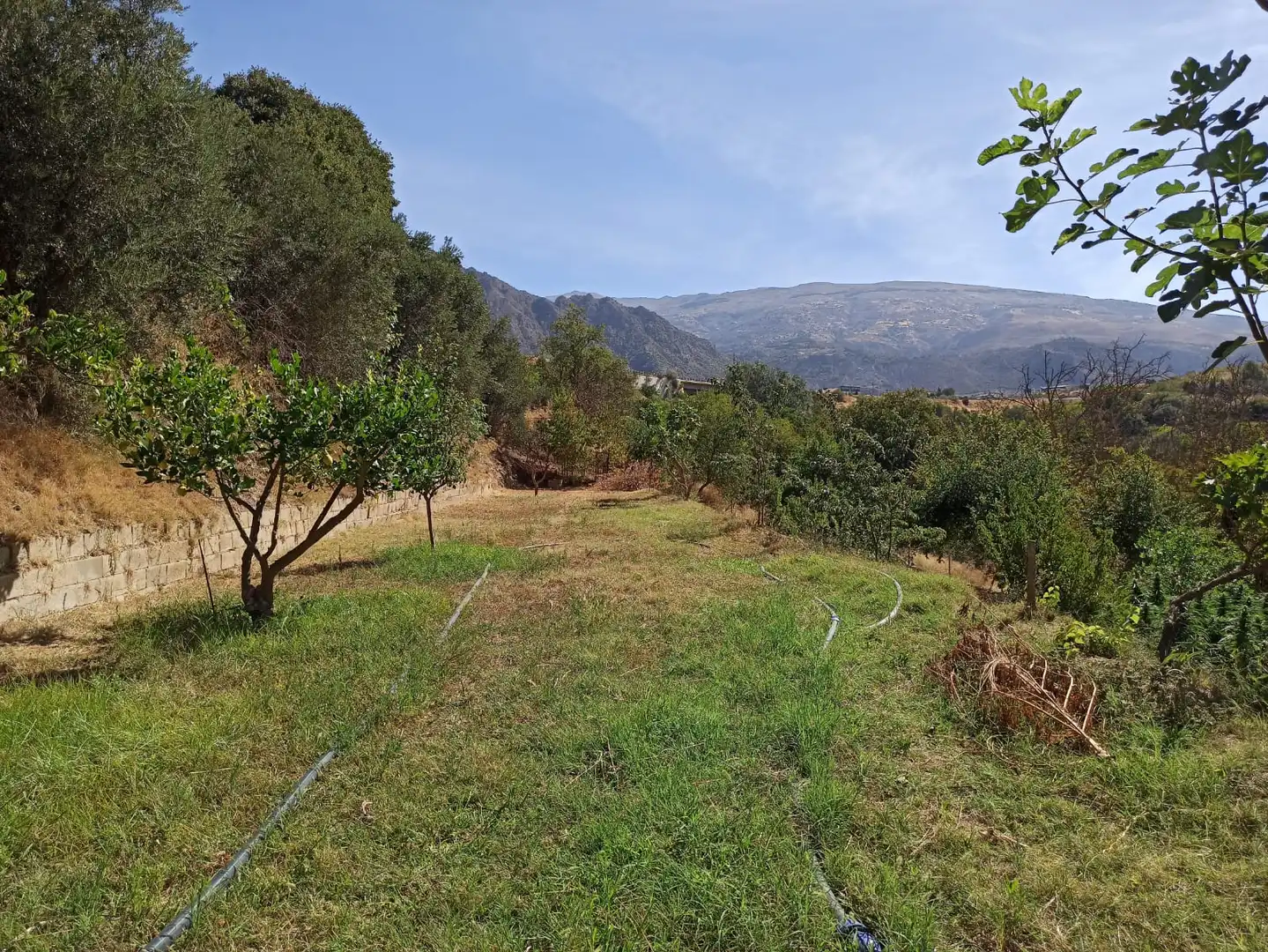 Finca rústica en venta en Dúrcal con Jardín privado, Terraza y Amueblado