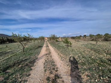 Casa en venda a Salinas