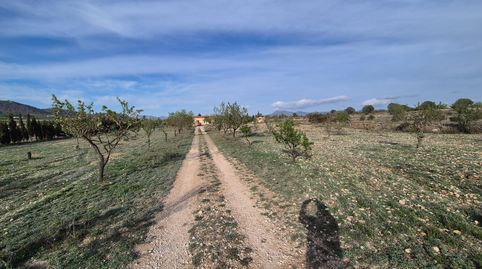 VENTA DE CAMPO