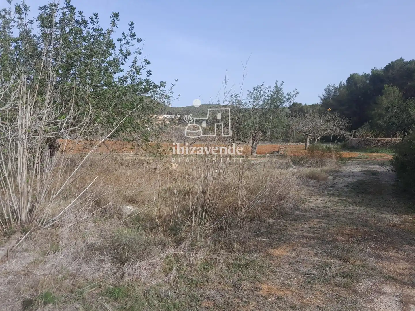 Detached house for sale in San Mateo, imagen 24