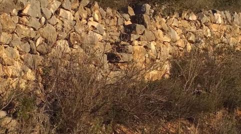 Photo 2 of Land for sale in De la Masada, Bítem, Tarragona