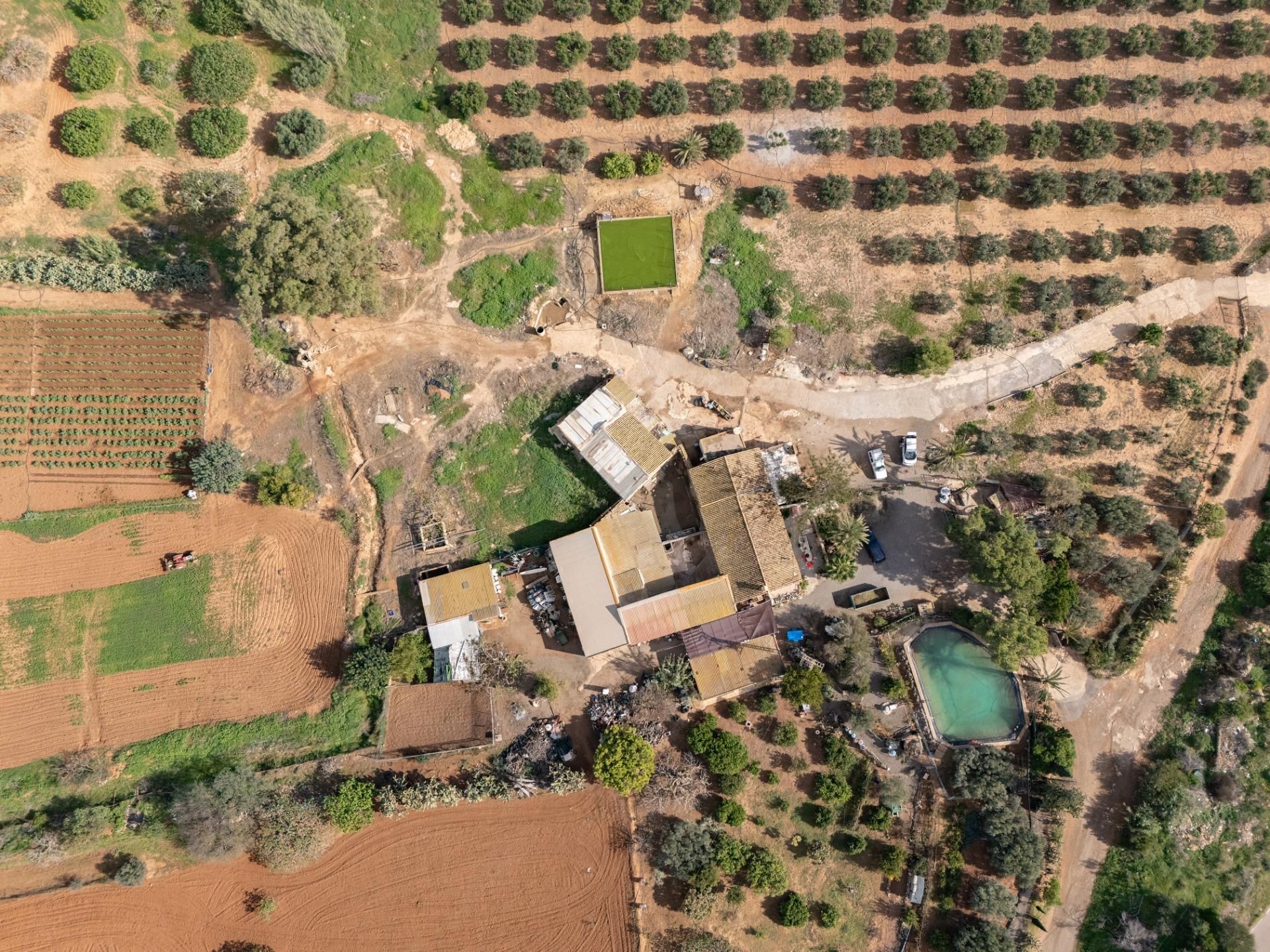 Garden of Country house for sale in Cartagena