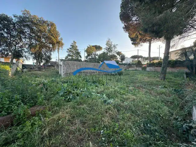 Terrenos y solares en venta en Sensitiva, imagen 7