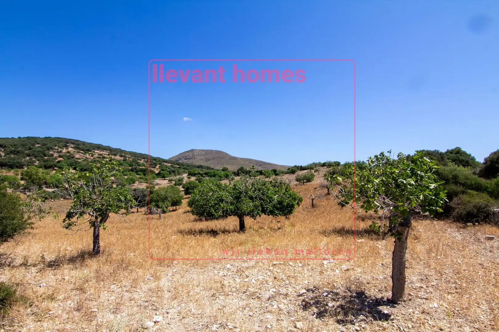 Grundstücke zum Verkauf in Carretera de Carrossa, Sant Llorenç des Cardassar