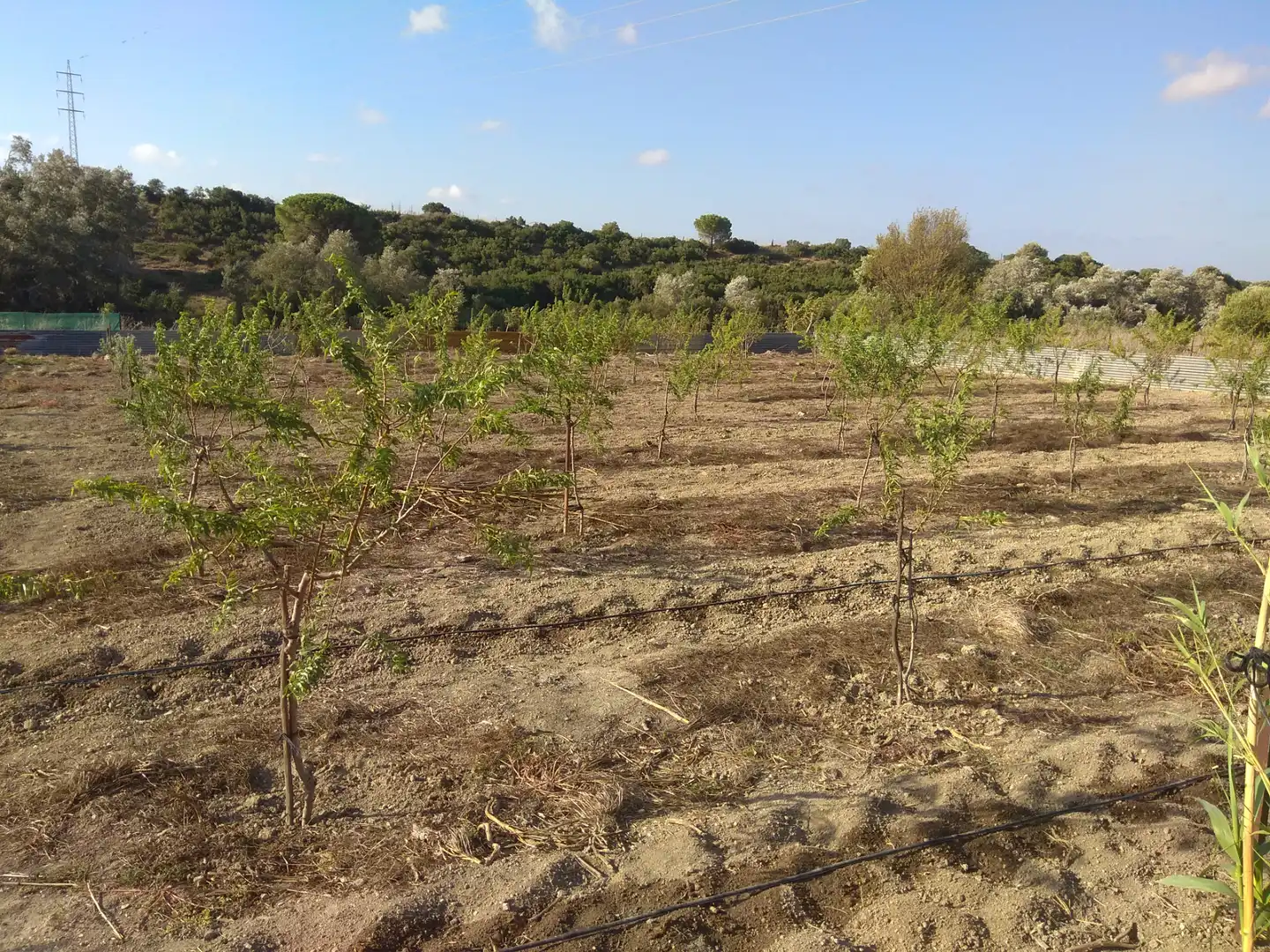 Terrenys i solars en venda a Los Franceses – La Vega, imagen 48
