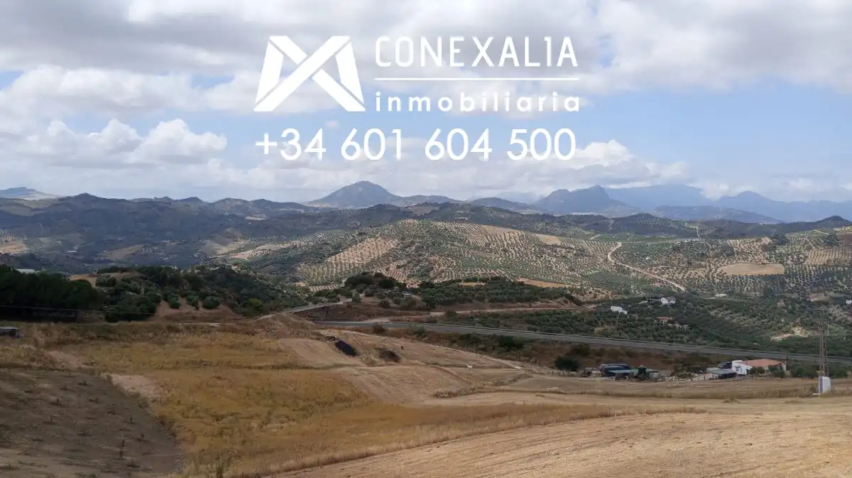 Casa con terrazza in vendita a Olvera, imagen 25