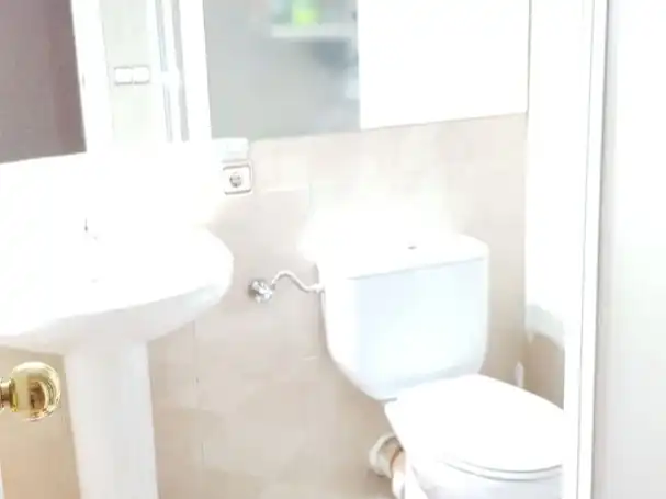 Baño de Local de alquiler en Madrid con Parquet