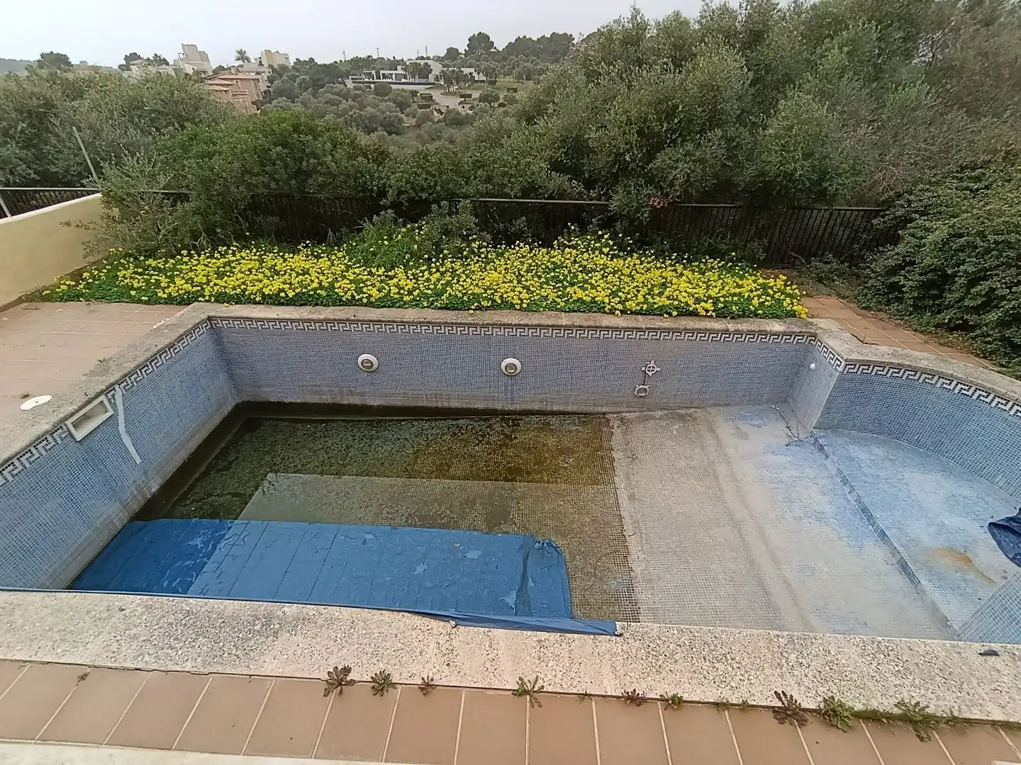 Piscina de Casa o chalet en venta en Manacor con Jardín privado y Piscina