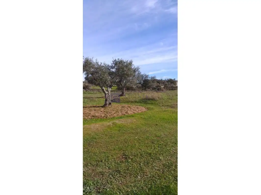 Country homes for sale in Calle Tenerias, Arroyo de la Luz
