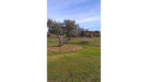 Foto 5 de Finca rústica en venta en N/a, Arroyo de la Luz, Cáceres