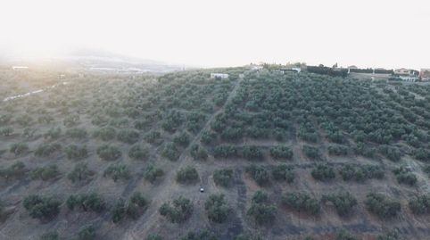 Finca en zona la Yuca, Jaén.