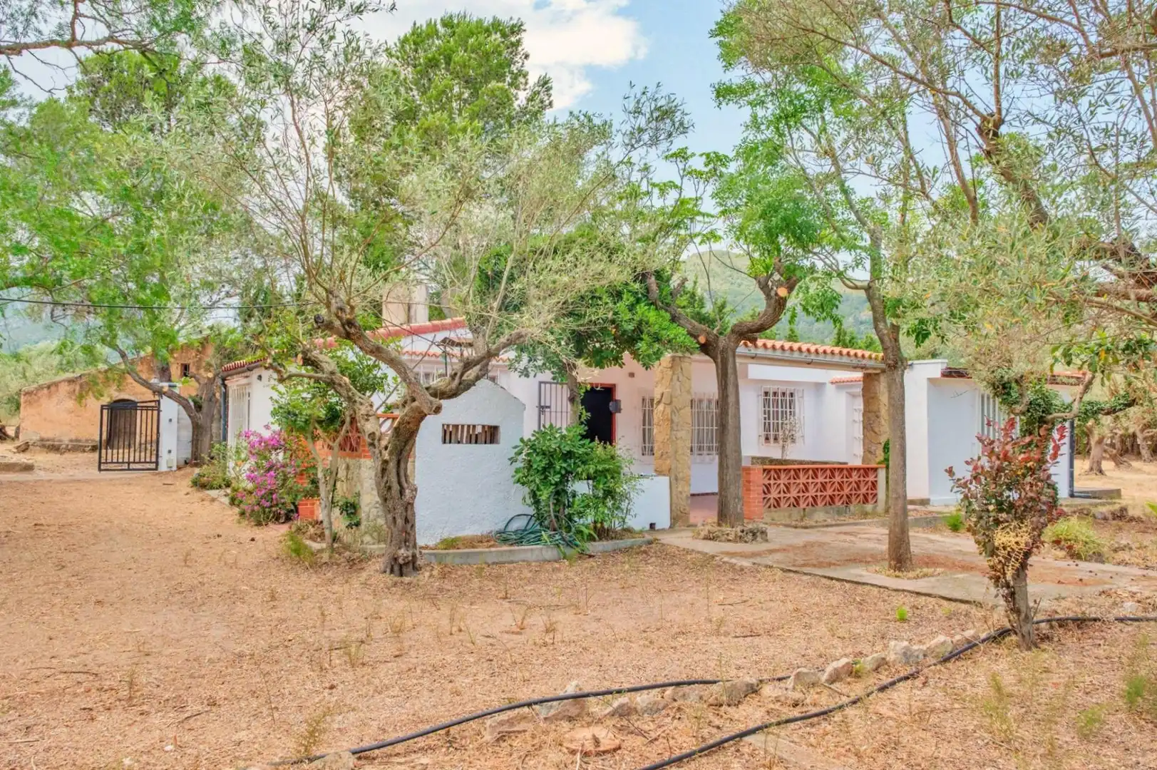 Jardí de Casa o xalet en venda en Tortosa amb Jardí privat