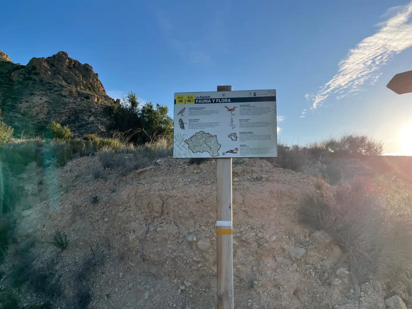 Vista exterior de Casa o xalet en venda en Albatera amb Aire condicionat, Calefacció i Jardí privat