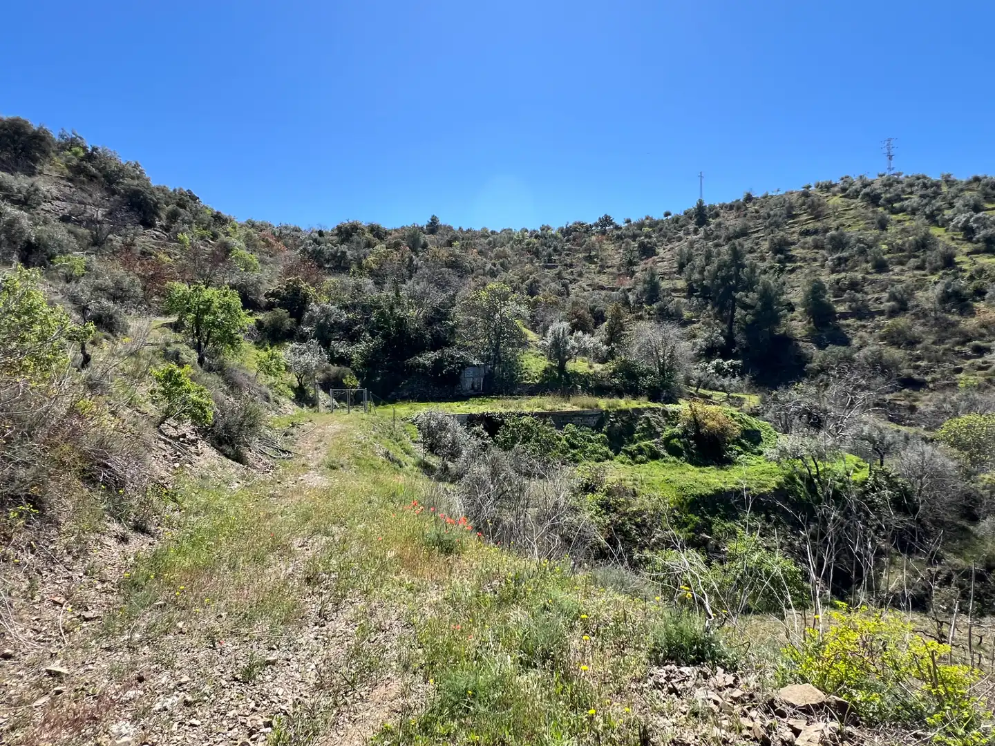 Rural land for sale in Gratallops, imagen 7