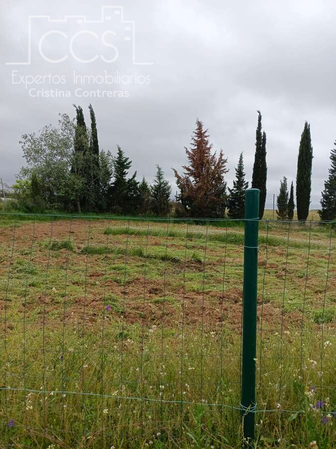 Finca rústica en venda en Rociana del Condado amb Jardí privat, Piscina i Moblat