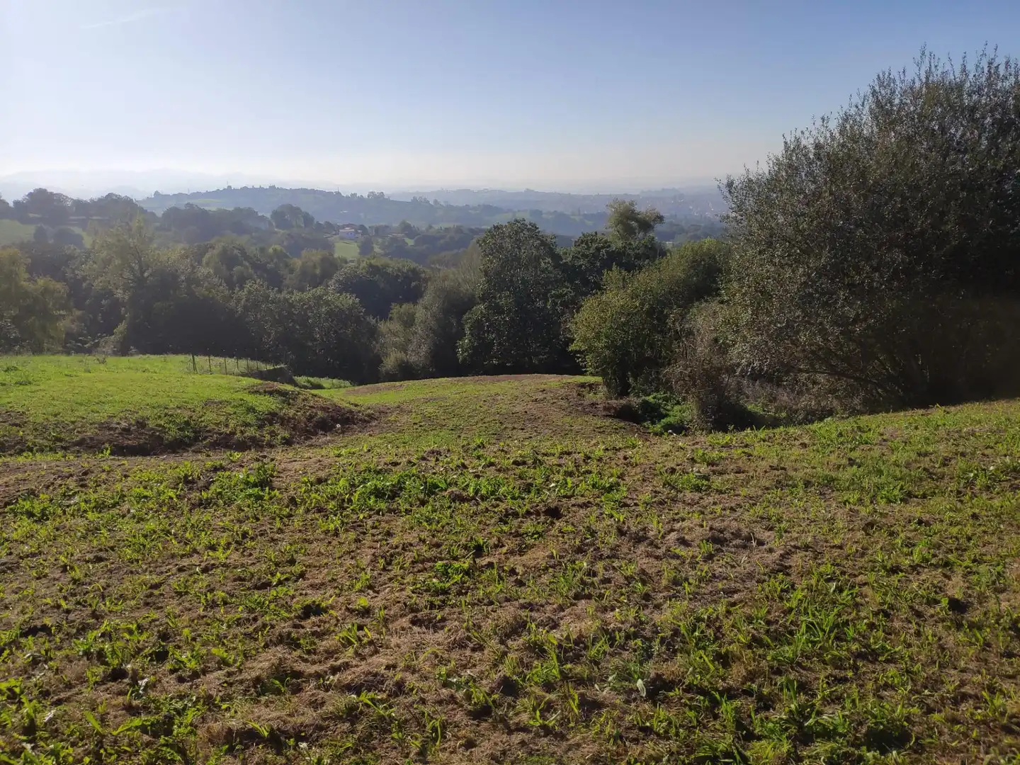 Terreno residencial en venta en Viella - Granda - Meres, imagen 6