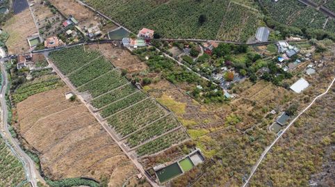 Foto 5 de Terreno en venta en Calle C/ Susana. Finca Santiago, S/n, Los Silos, Santa Cruz de Tenerife