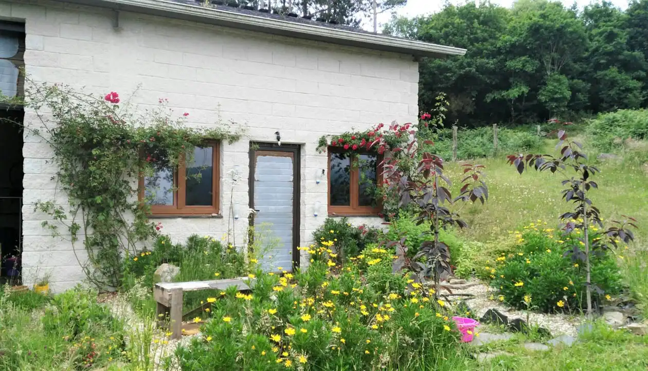 Jardín de Casa o chalet en venta en A Pontenova   con Jardín privado