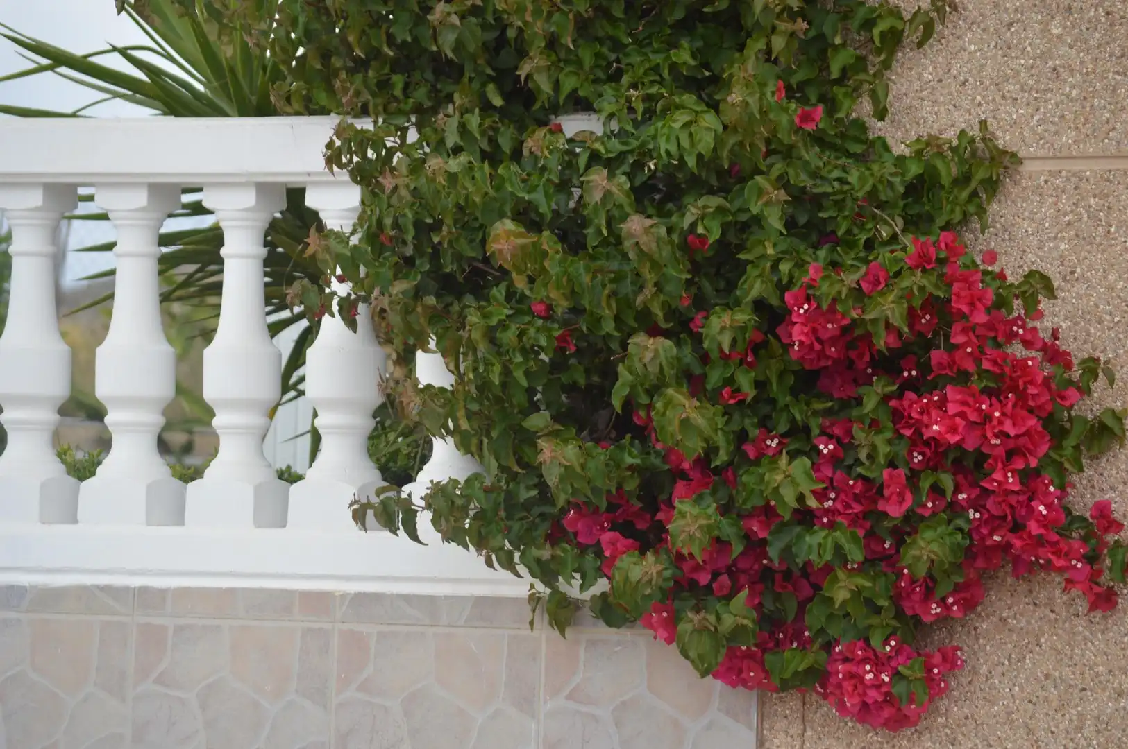 Detached house with pool for sale in Busot, imagen 16