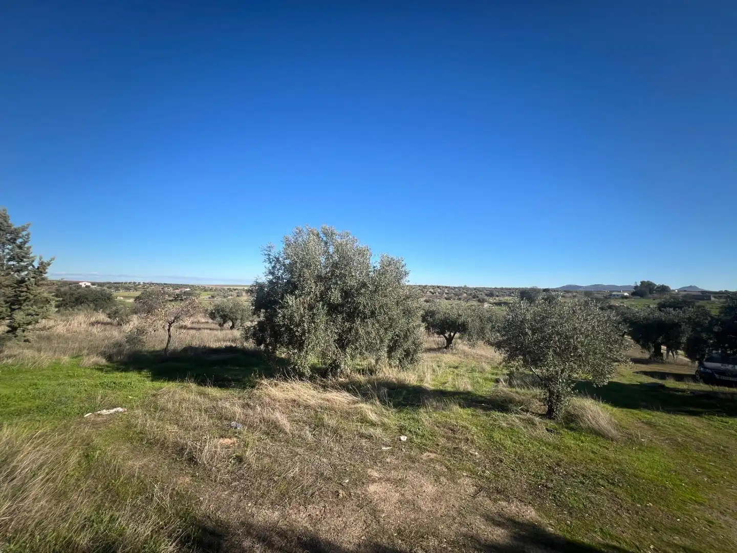 Chalet en venta en Camino Polígono 12 Parcela 105 PAJON. LA HABA (BADAJOZ), imagen 18