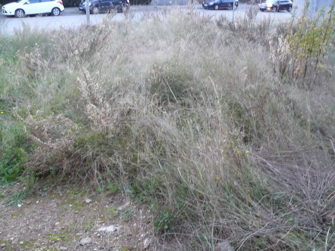 Terreno industriale in vendita a La Pobla de Claramunt, imagen 5