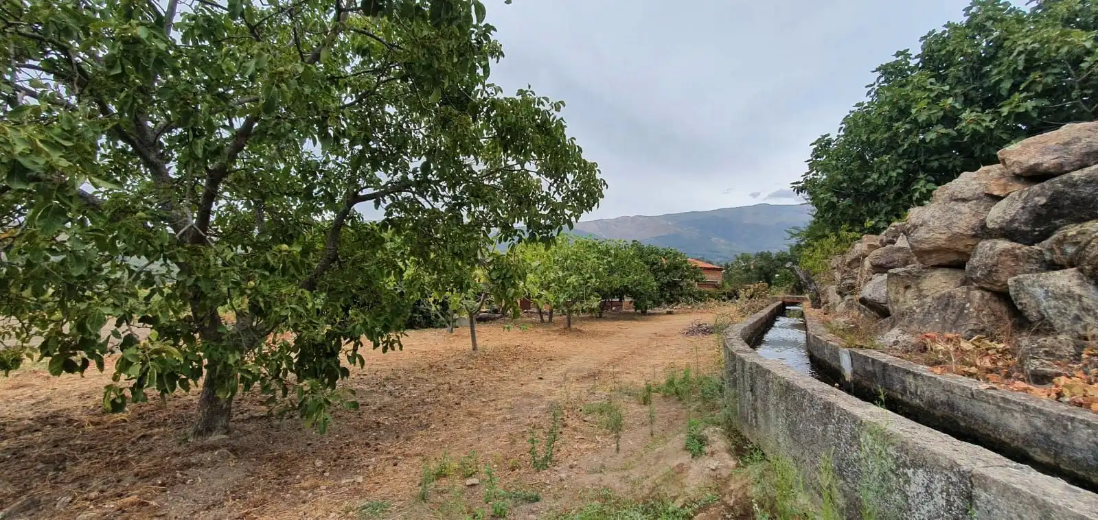 Terreni e lotti in vendita a Jarandilla de la Vera, imagen 3