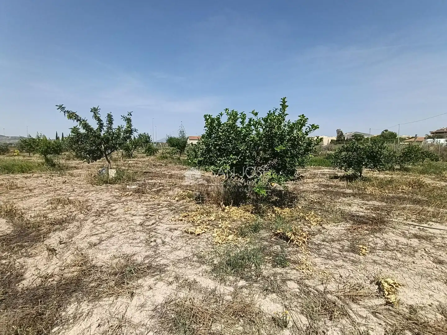Rural land for sale in Novelda, imagen 5