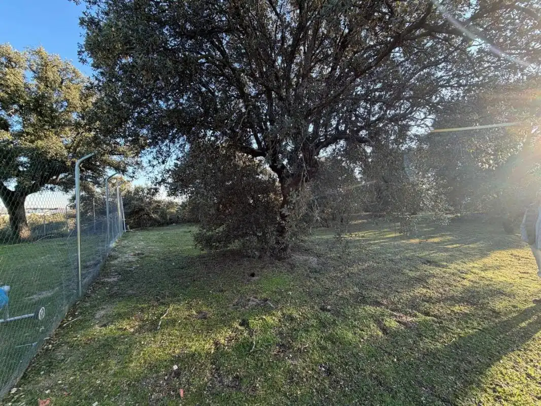 Wohnbaugrundstück zum Verkauf in Urbanización Este - Montepríncipe, imagen 11