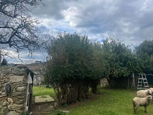House with garden for sale in Camiño da Sueira, imagen 10