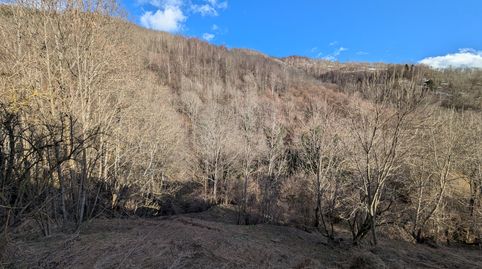 Foto 2 de Finca rústica en venta en Molló, Girona