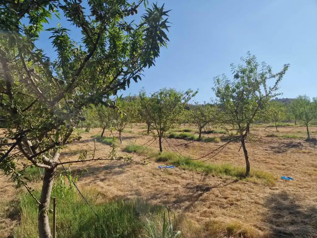Terreno en venta en Binaced