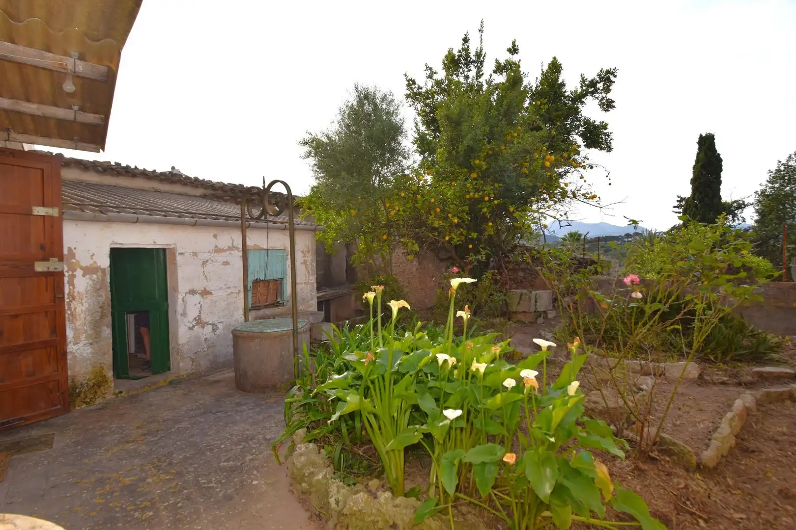 Garten von Haus oder Chalet zum Verkauf in Llubí mit Privatgarten
