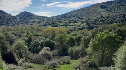 Foto 3 de Finca rústica en venda a Travesía de Panes, 212, Peñamellera Baja, Asturias