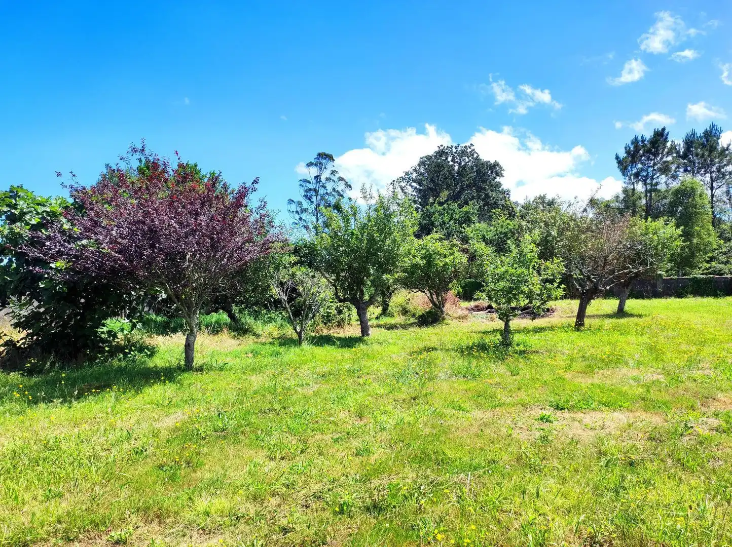 Villa con giardino in vendita a Padronelo 0, imagen 8