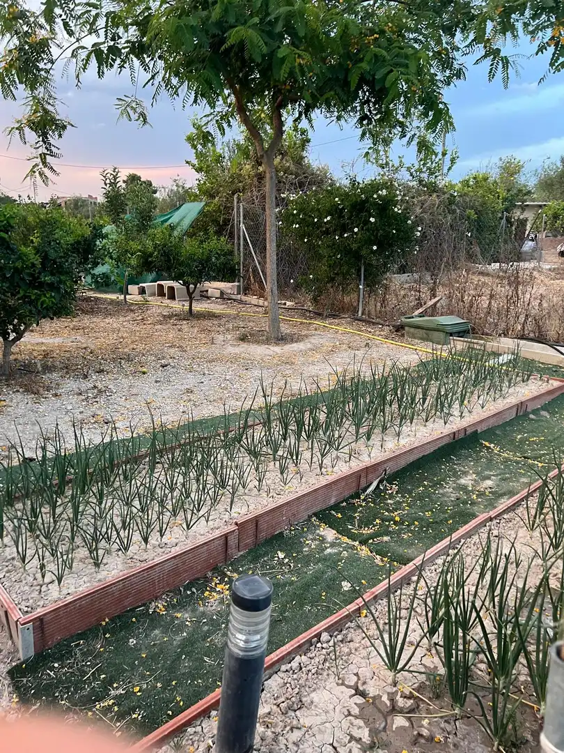 Garden of Land for sale in Murcia