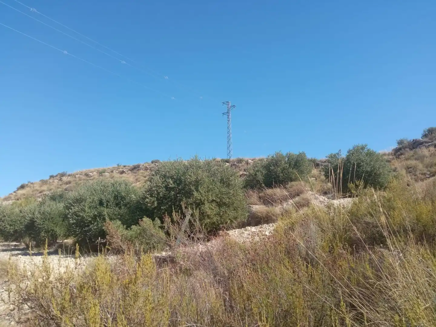 Terrains et parcelles à vendre à Pedanías Norte, imagen 11