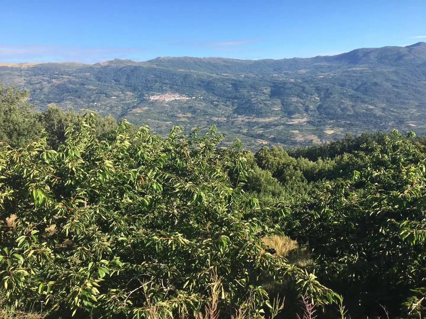 Terreni e lotti in vendita a Casas del Castañar, imagen 8