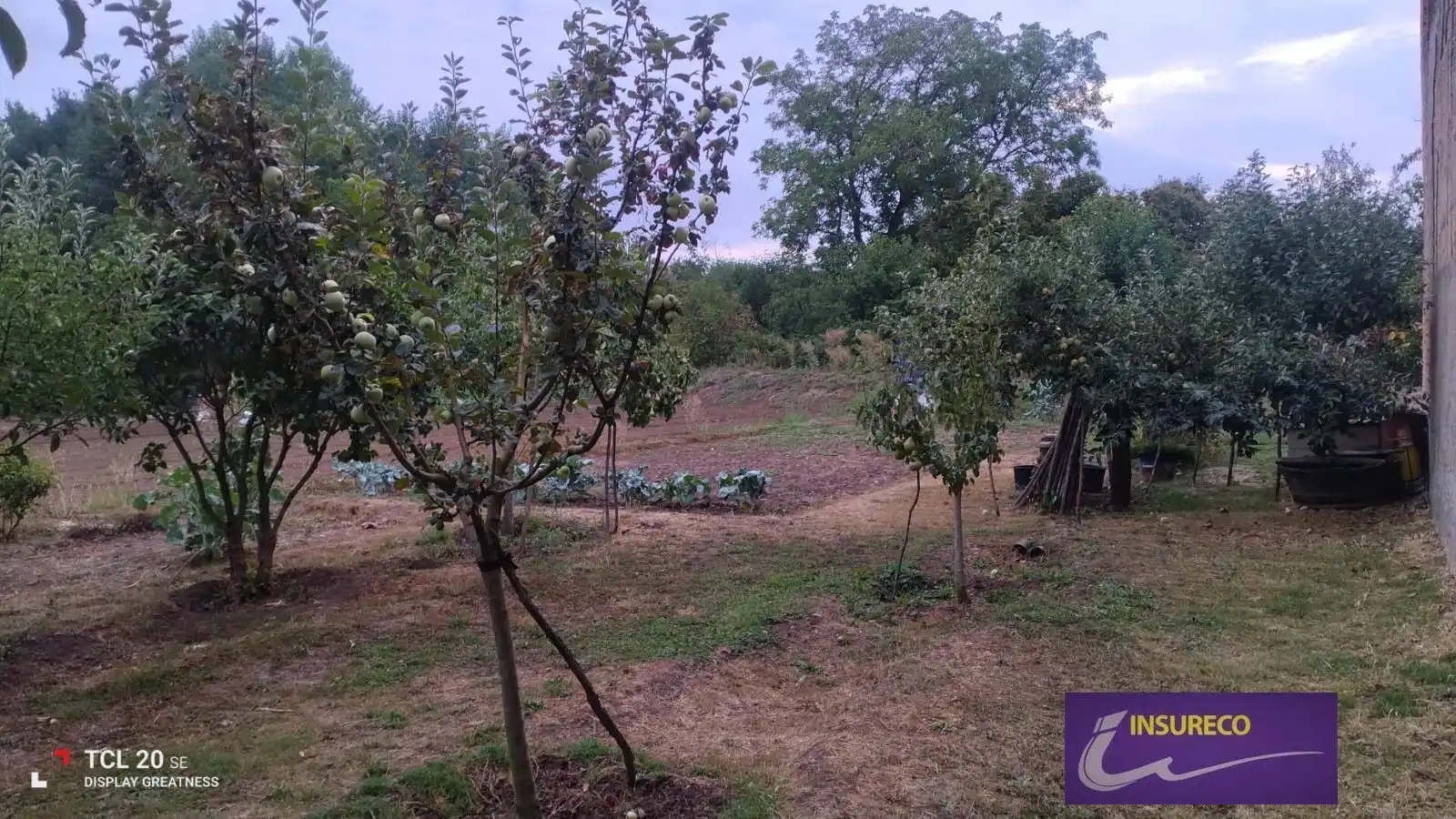Rural land for sale in Sol-S Feliz Orb, imagen 2