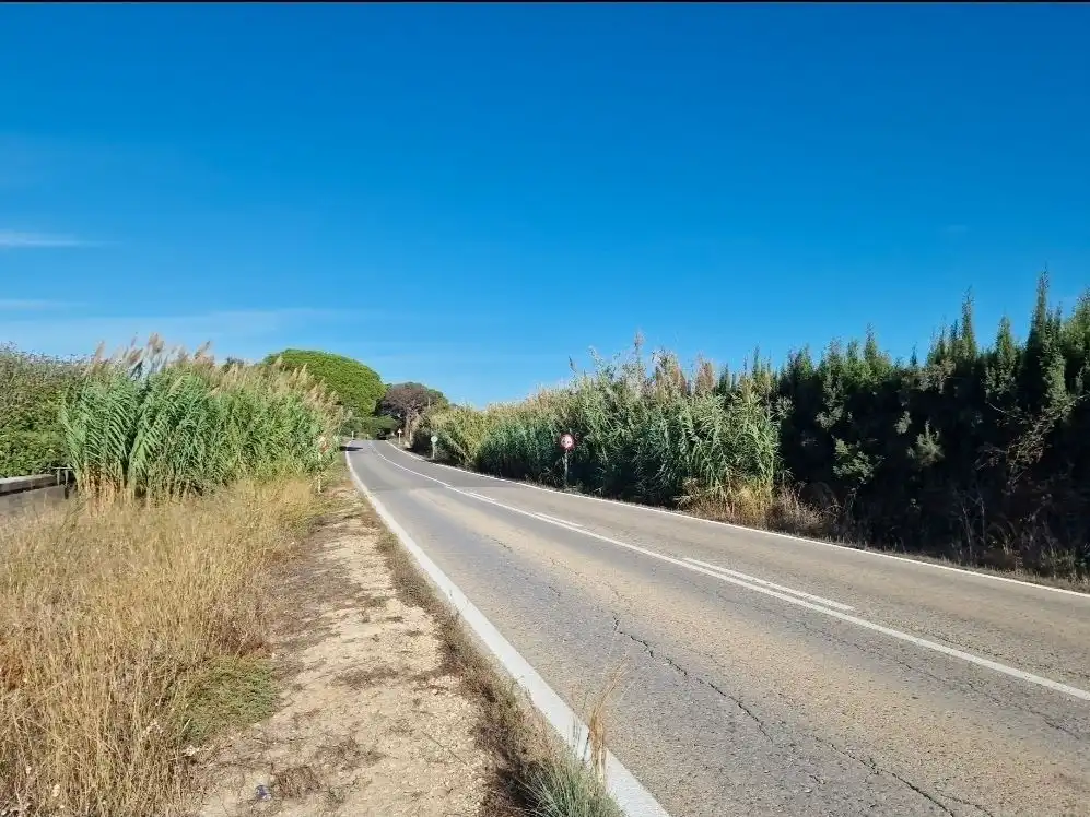 Terreni e lotti in affitto a CA-3113 0