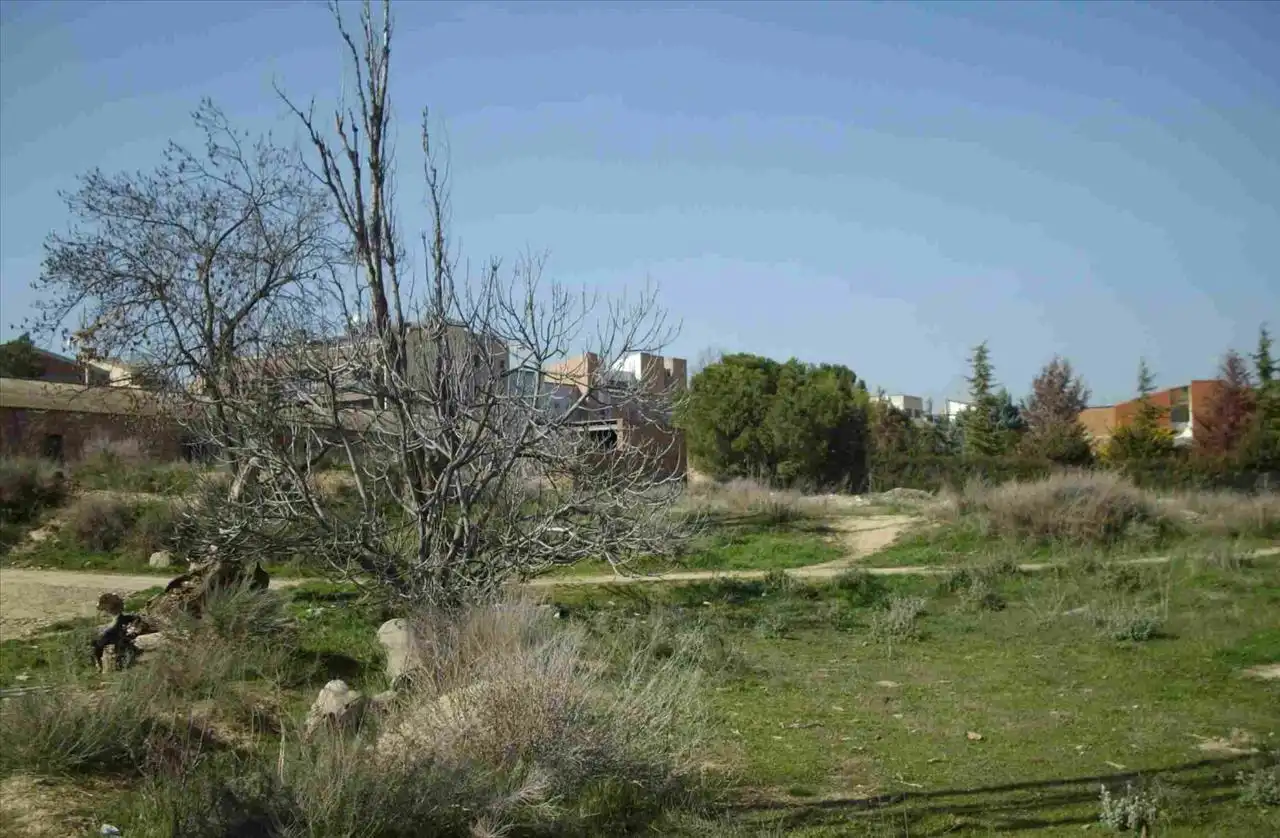 Terreny industrial en venda en Alcoletge