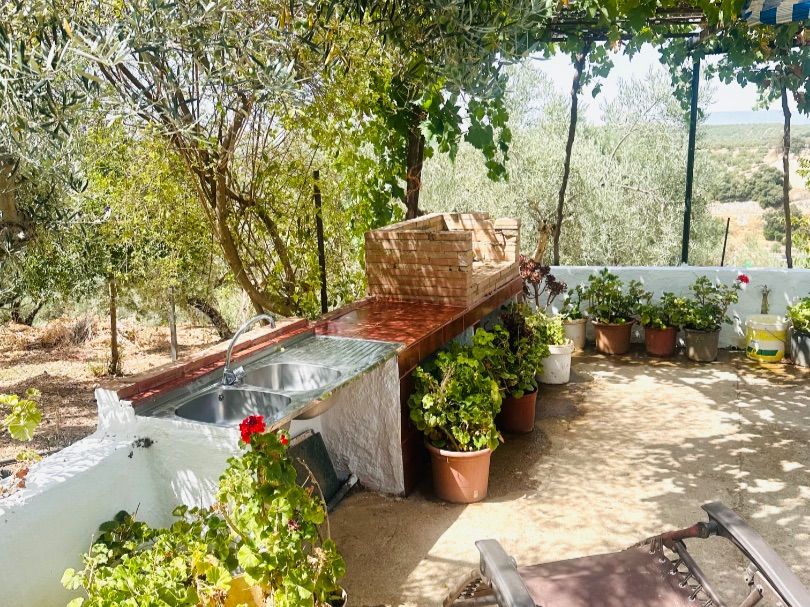 Garten von Grundstücke zum verkauf in Alcalá del Valle
