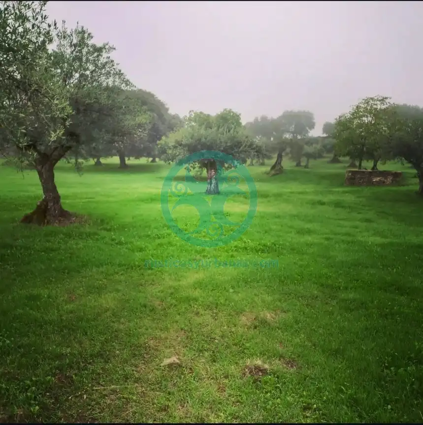 Country house with pool for sale in Calle Aguaperal, imagen 34