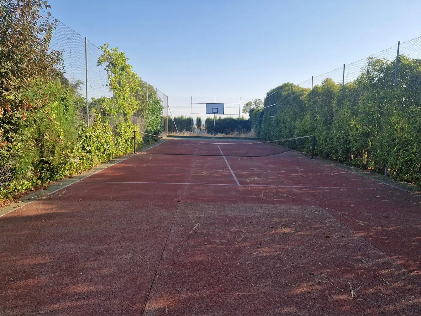 Chalet con piscina en venta en Almodóvar del Campo, imagen 56