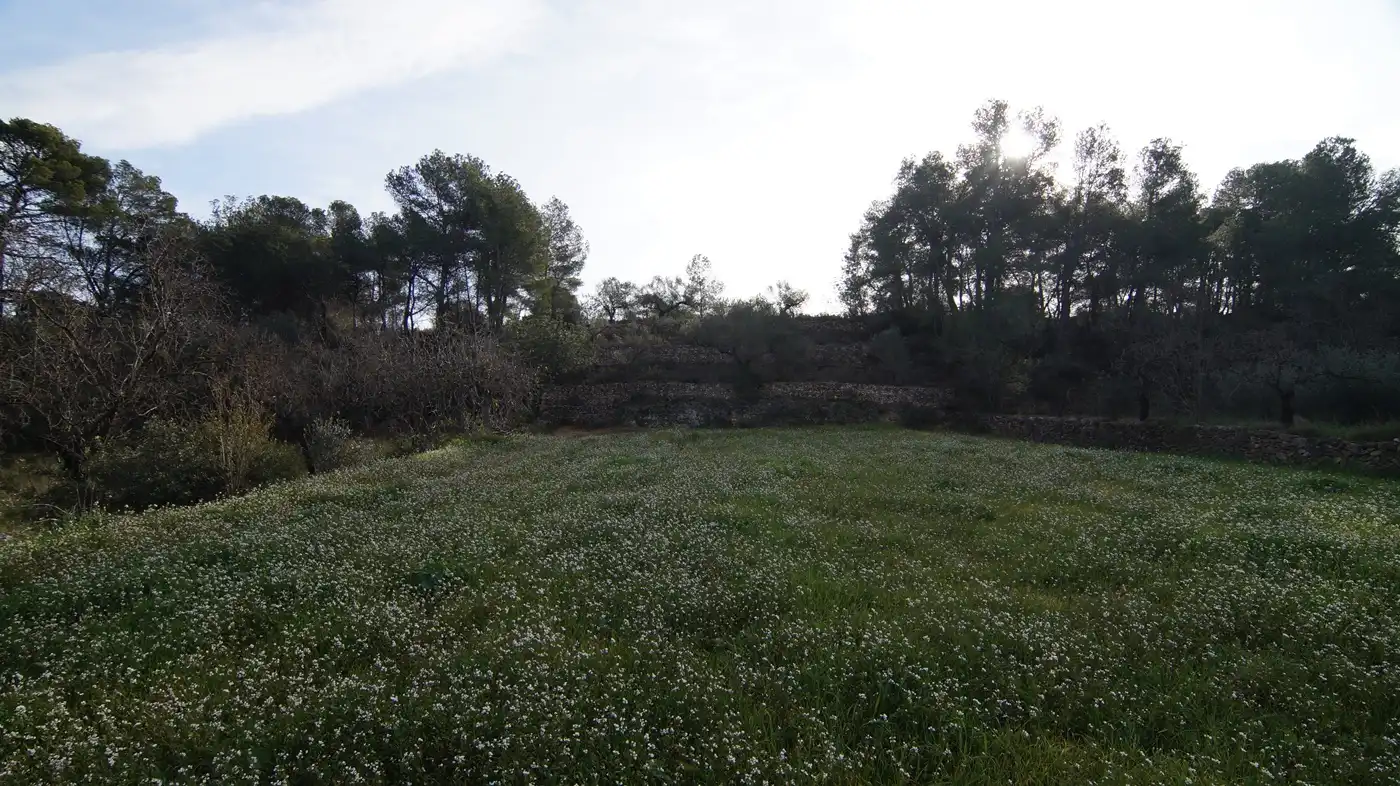 Terrain rustique à vendre à Rasquera, imagen 23