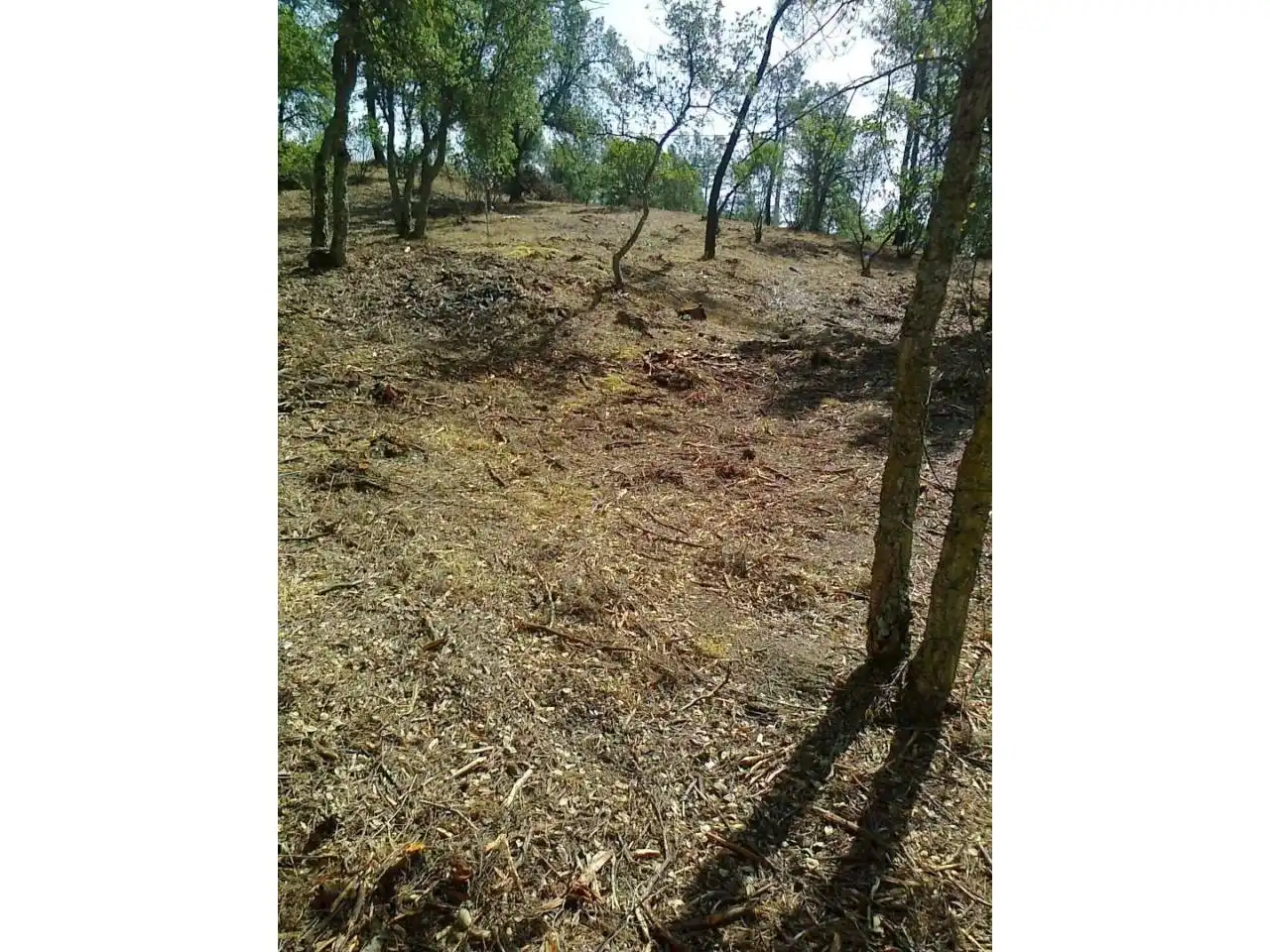 Terrain rustique à vendre à Urbanizacion MALAVELLA PARK, imagen 3