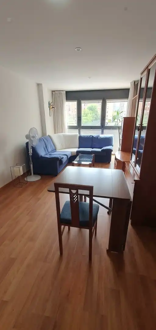 Flat with lift for sale in Bagatza - San Vicente, imagen 2