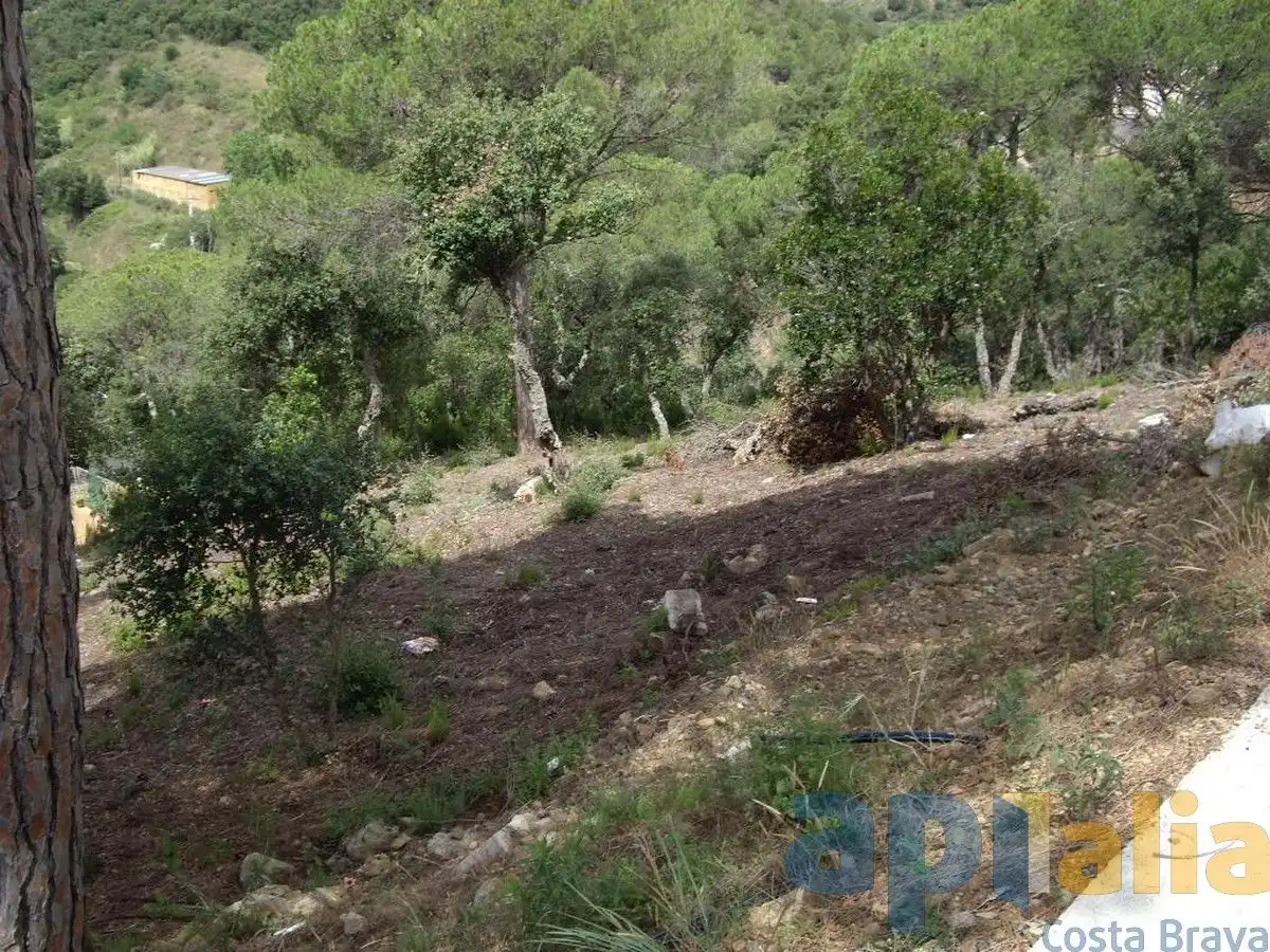 Residential land for sale in Carrer Alzina, imagen 6