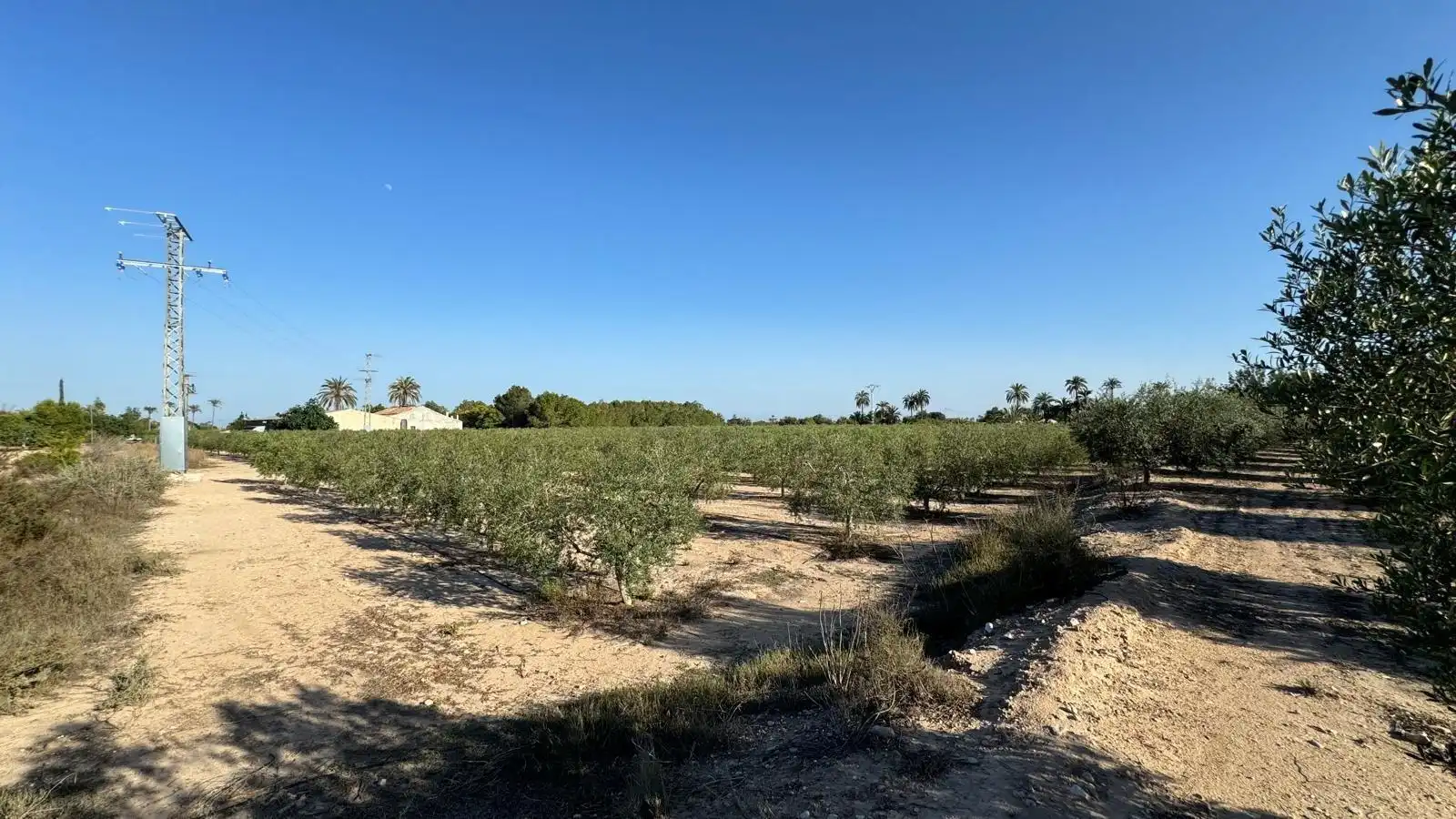 Villa à vendre à Partida Polígono 62 Parcela 80 DAIMES. ELCHE/ELX (ALICANT 62, imagen 46