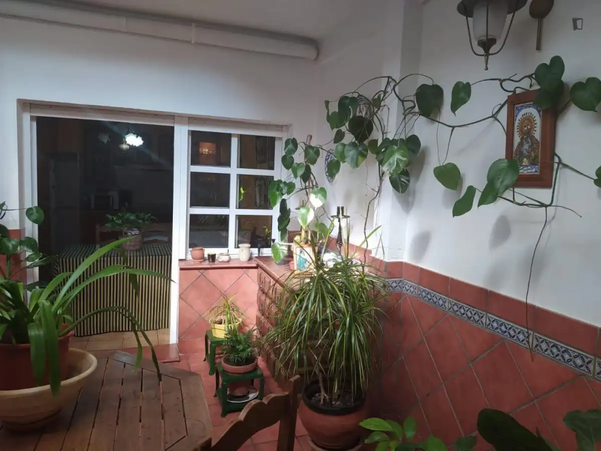 Terraza de Casa o chalet para compartir en Este - Alcosa- Torreblanca