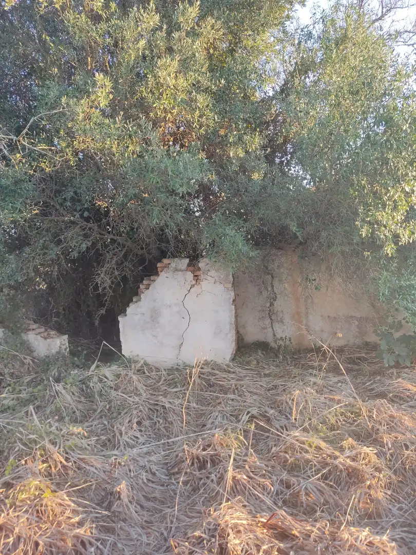 Terreno en venta en Conil de la Frontera